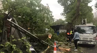 Sarıyer'de Tırın Çarptığı Ağaç Otobüs Durağına Devrildi