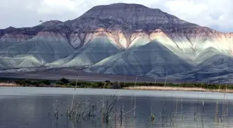 Nallıhan Kuş Cenneti Foto Safari' Günlerine Davet