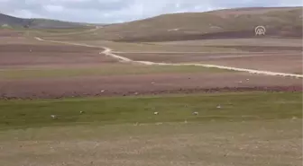 Sahadaki Başarı Kamikaze İha'lara Talebi Artırdı (3)