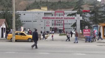 Gümüşhane'de Kene Isıran Çiftçi Öldü