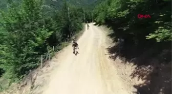 Giresun'da, Gri Listede Aranan PKK'lı Terörist, Yakalandı
