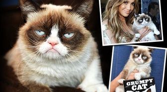 Grumpy Cat (Huysuz Kedi) Öldü