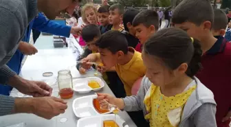 Hocalar İlkokulunda 'Dünya Arı Günü' Etkinliği