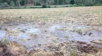 Taşan Dere Arazileri Sular Altında Bıraktı