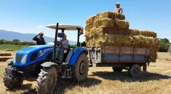 Aydın'da Yetiştiriciler Kış Hazırlıklarına Başladı