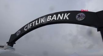 Çiftlik Bank Vurguncularının Özel Yazışmaları: Uykumu Kaçırıyor