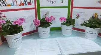 Müzik Dinletilen Çiçekler Büyük Gelişme Gösterdi