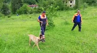 Kayıp kişiyi arama çalışmaları sürüyor