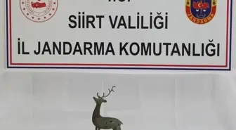 Siirt'te bronz geyik heykeli ele geçirildi