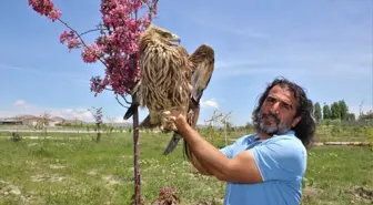 20 yıldır hayatını yaban hayvanlarına adadı