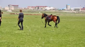 Kars'ta, at yarışları yapıldı