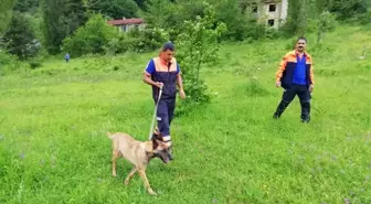 Kayıp şahıs K9 köpeğiyle aranıyor