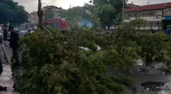 Rüzgardan devrilen ağaç otomobilin üzerine düştü