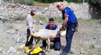 Kuyuya düşen koyunu AFAD ekipleri kurtardı