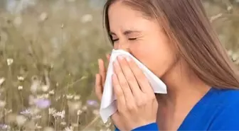 Göğüs Hastalıkları Uzmanı Prof. Dr. Sadık Ardıç Uyardı: Alerjik Rinit ve Astım Mevsimine Dikkat!
