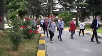 Kapıkule Sınır Kapısı'na 'uluslararası' inceleme