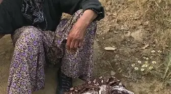 Kayıp alzheimer hastası kadın, 20 saat sonra ormanda bulundu