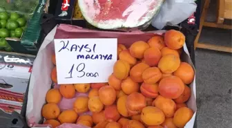 Kayısıda 'Malatya' aldatmacası