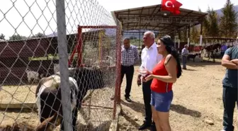 Belediye Başkanı Çakır'dan şiddet gören hayvanların yaşadığı barınağa destek sözü