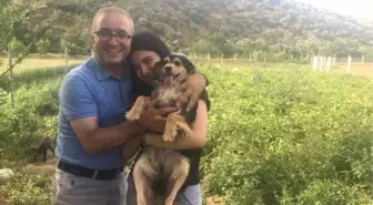 Kayıp köpekleri 'Alis'e 4 gün sonra kavuştular