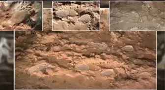 14 Bin Yıl Önce Yaşamış Bir Taş Devri Ailesinin Mağarada Bıraktığı İzleri Keşfedildi