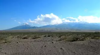 Sürülerin Ağrı Dağı'na göç yolculuğu başladı - IĞDIR