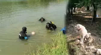 Kayıp çoban, köpeğinin kenarında havladığı gölette ölü bulundu