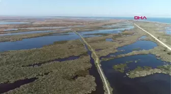 SAMSUN Karadeniz'e tatilci akını