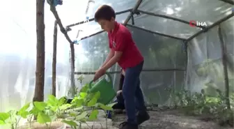 En organik okul...Öğrenciler bu okulda tavuk besliyor, sebze ve meyve yetiştiriyor