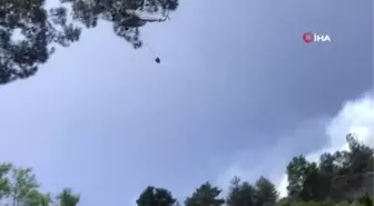 Akseki'de çıkan orman yangınında 2 hektarlık tarım arazisi ve bozuk çam ormanı zarar gördü