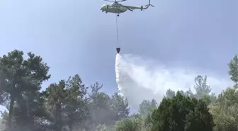 Akseki'de orman yangını