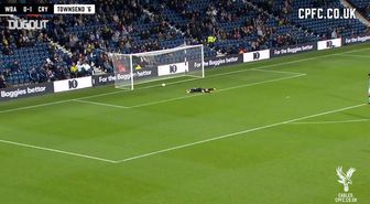 Andros Townsend'in Golleri 2018-19