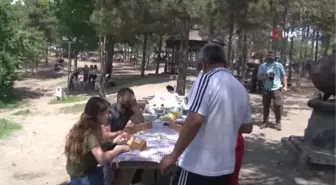 Bayramı değerlendirmek isteyen Ankaralılar piknik alanlarını doldurdu