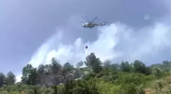 Orman ve tarım arazisinde yangın