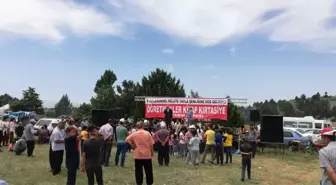8. Helete Kiraz Yaylası Festivali