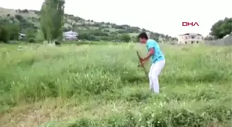 ADIYAMAN HAYVANLARIN KIŞLIK YEMLERİ, YAZ AYLARINDA HAZIRLANIYOR
