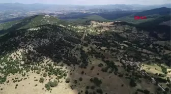 ÇANAKKALE DEFİNECİLER KEBRENE'Yİ DELİK DEŞİK ETTİ