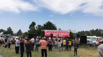 Kahramanmaraş'ta 8. Kiraz Festivali