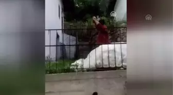 Karabük'te köye ayı indi