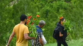 Koruma altındaki ters laleleri koparırken görüntülendiler
