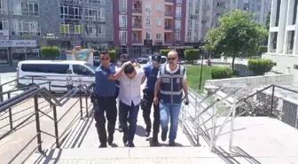 Müşterileri gasbetti, polisin üzerine pitbull saldı, tutuklandı
