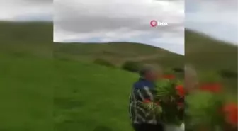 Ters laleleri koparıp götüren 3 kişiye 180 bin TL para cezası kesildi