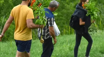Ters laleleri koparıp götüren 3 kişiye 180 bin TL para cezası