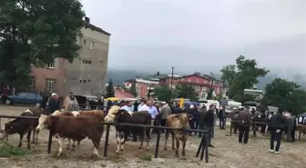 Hayvan pazarında sessiz bekleyiş hakim