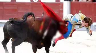 İspanyda'da matador, şov yapayım derken canından oluyordu!