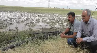 Kulu'da dolu yağışı sonrası hasar tespiti yapıldı