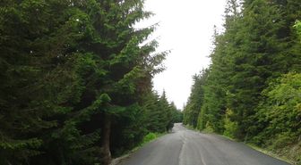 Ordu'da yaylalar birleşiyor