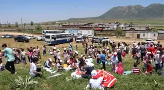 Bitlis'te uçurtma şenliği