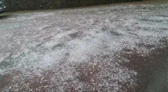 Ordu'da dolu yağışı araçlara ve tarlalara zarar verdi