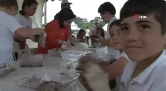 Tarihi Küçüksu Çayırı'nda eğlence dolu 'Çevre Festivali'